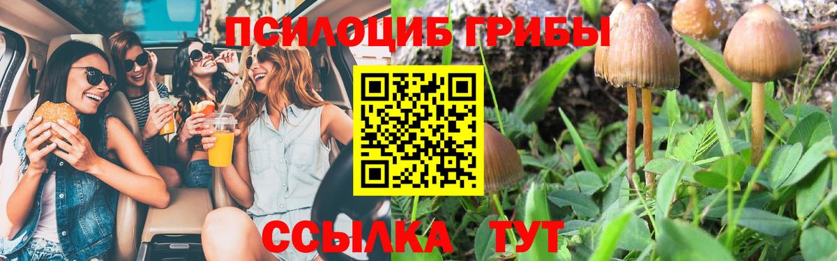 Псилоцибиновые грибы Magic Shrooms Гай