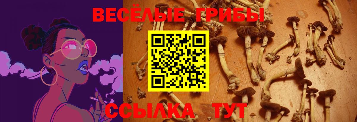 Гай  Псилоцибиновые грибы ЛСД  где купить наркоту  Вход с VPN 