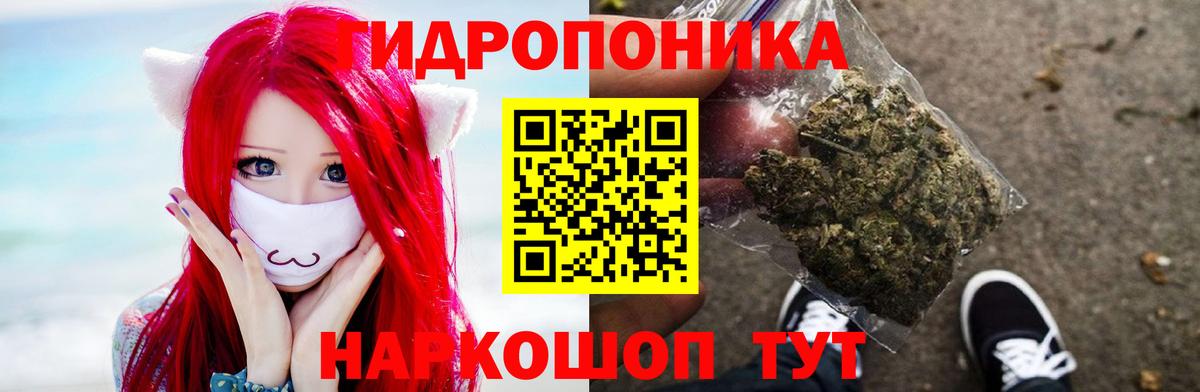 Гай  Бошки Шишки семена  Вход с VPN  Бошки Шишки тримм  МАРИХУАНА марихуана  Конопля семена 