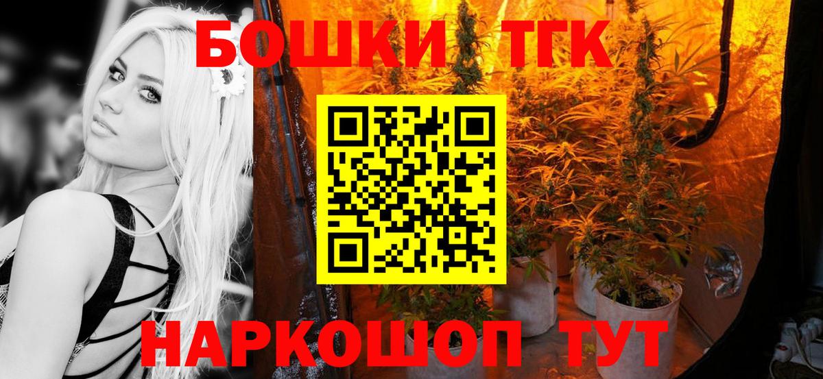 Канабис планчик Гай